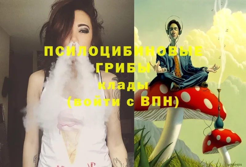 цена   Апшеронск  Псилоцибиновые грибы GOLDEN TEACHER 